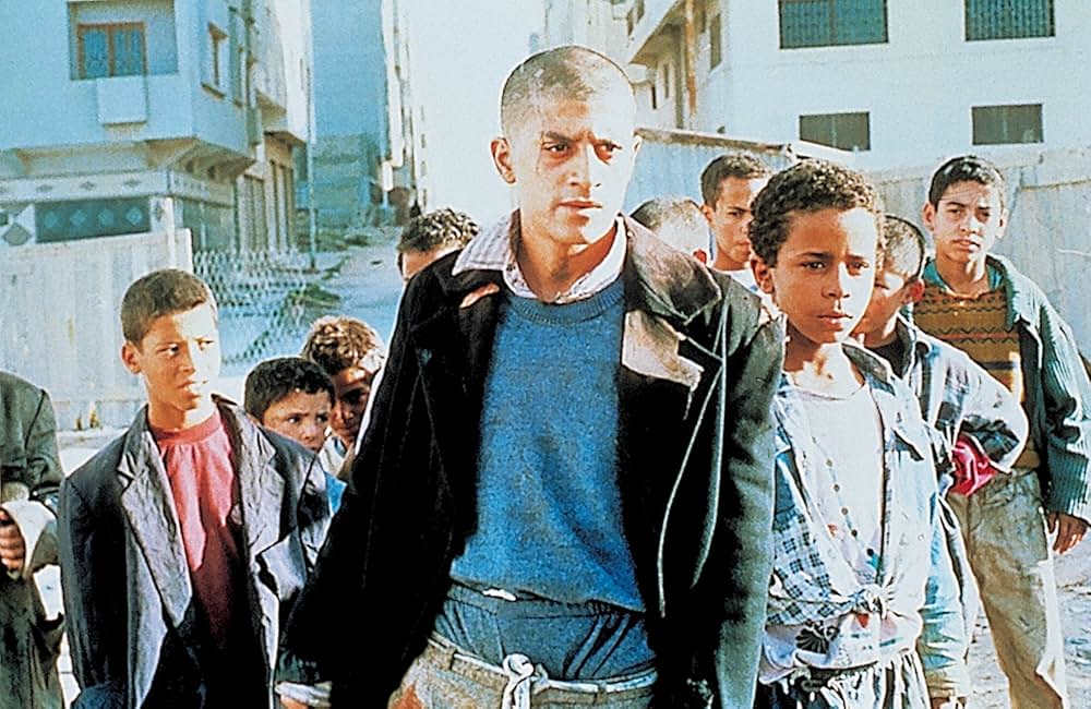 アリ・ザウアの画像