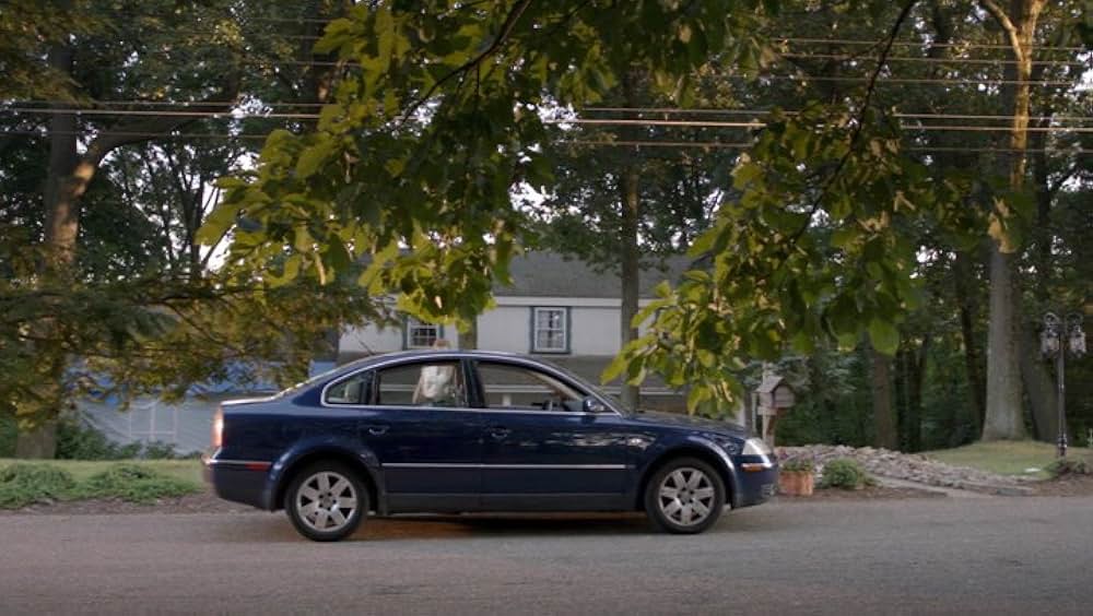 The Lifeguardの画像