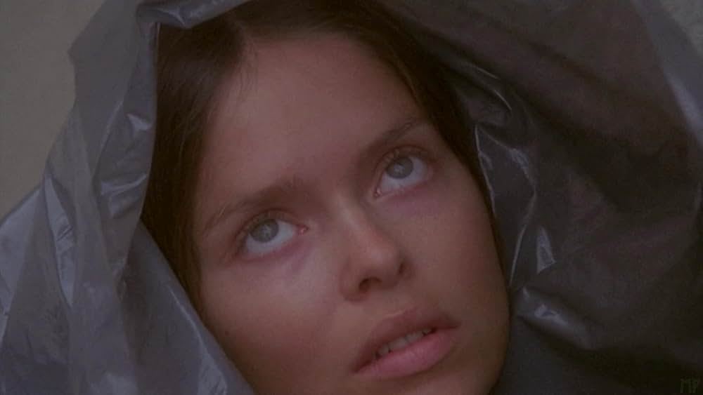 タランチュラの画像