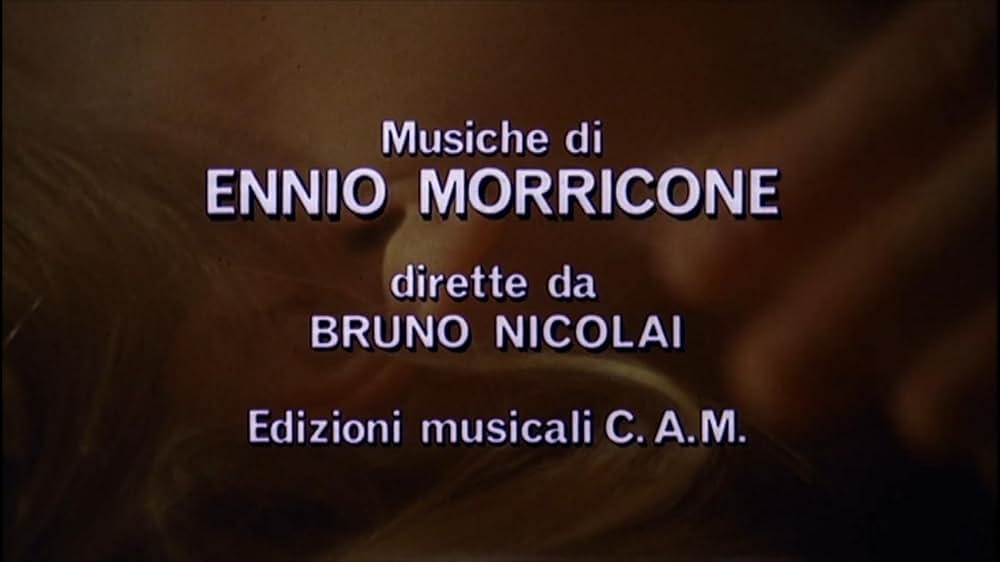 タランチュラの画像