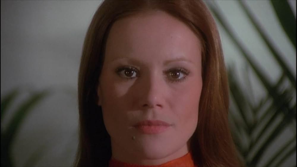 タランチュラの画像