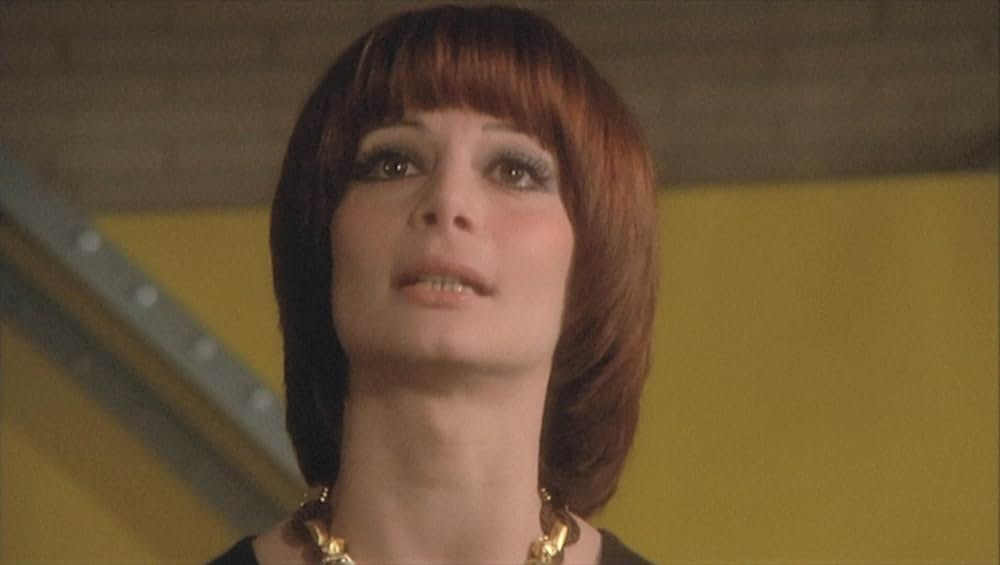 タランチュラの画像