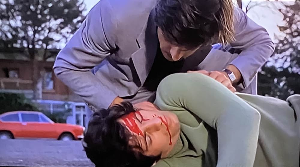 タランチュラの画像