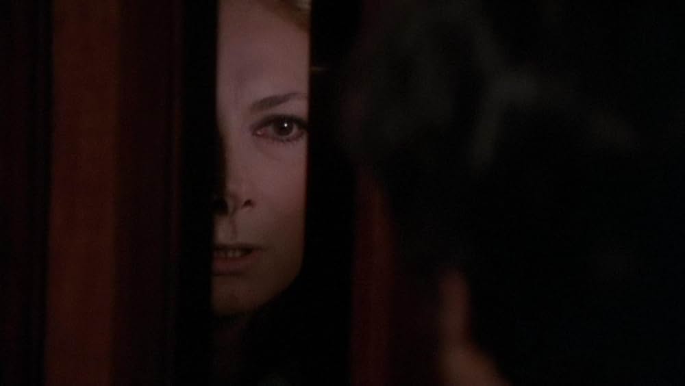 タランチュラの画像