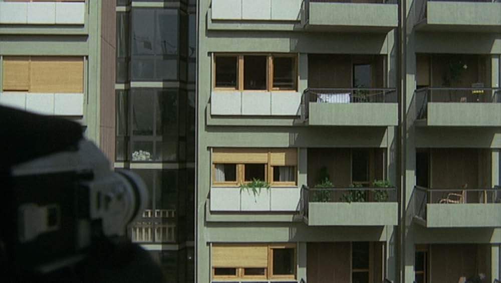 タランチュラの画像