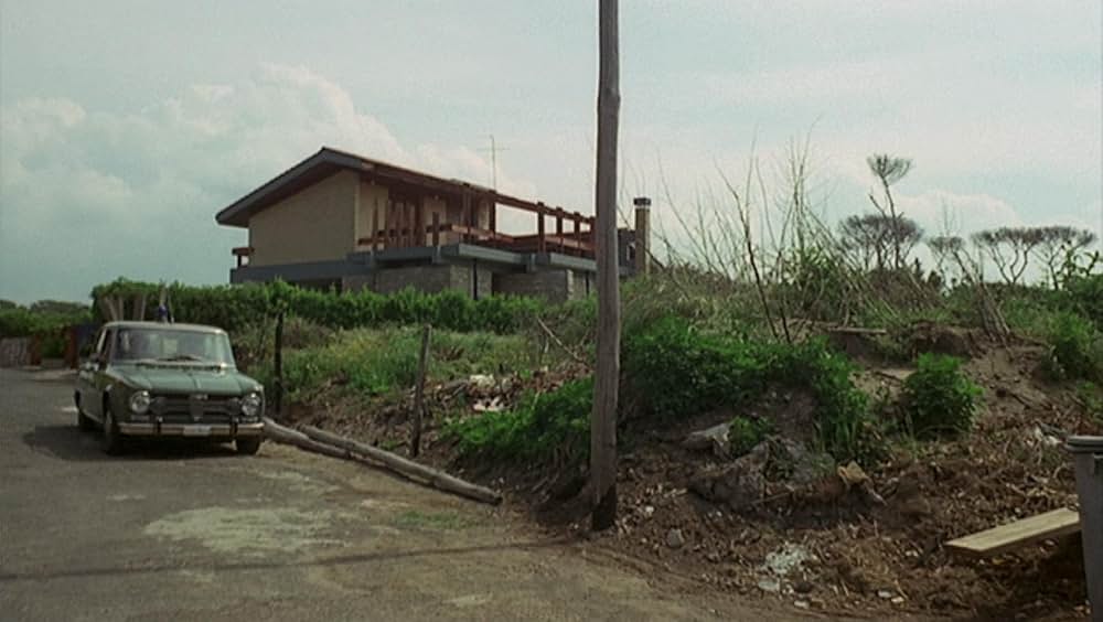 タランチュラの画像