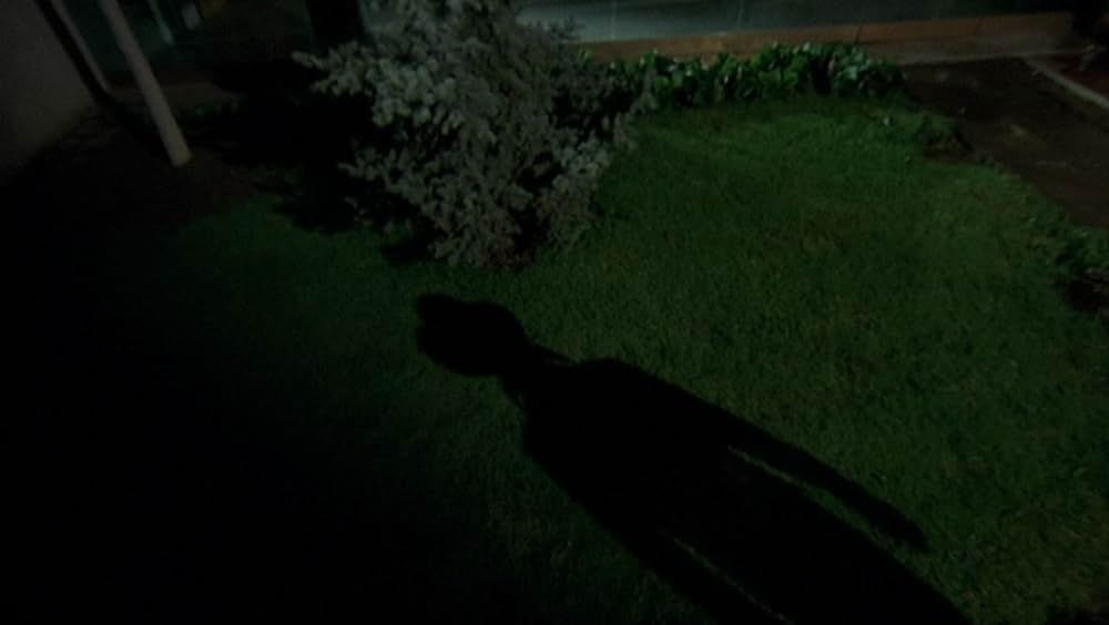 タランチュラの画像