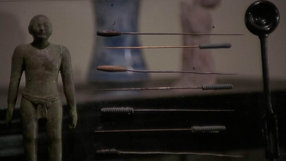 タランチュラの画像