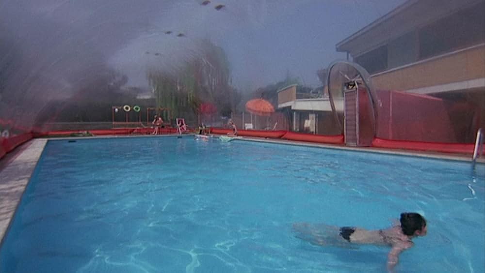 タランチュラの画像