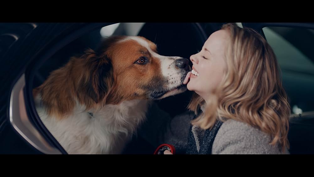 「Holiday Twist（原題）」の画像