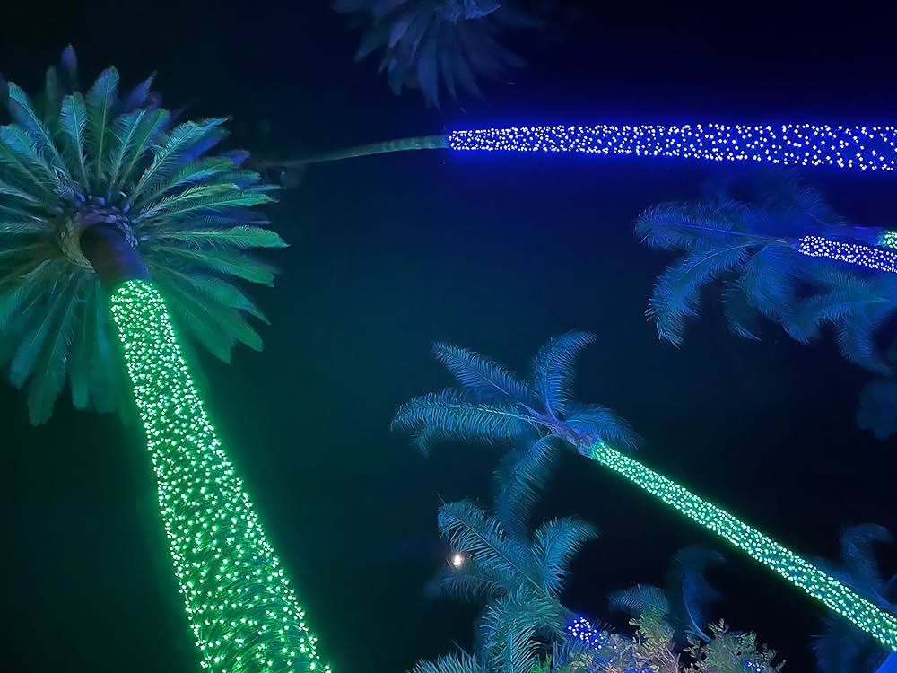 「Holiday Twist（原題）」の画像