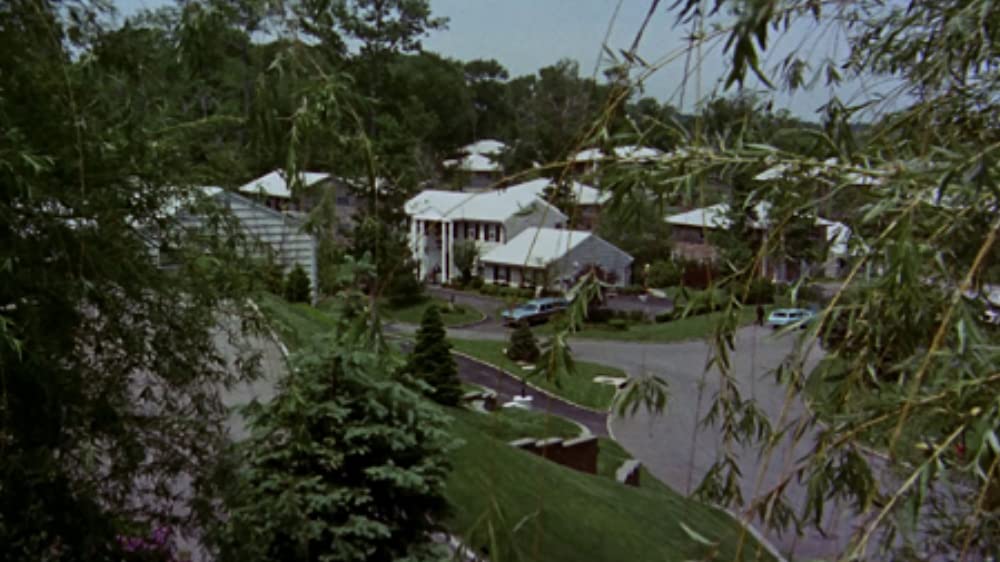 おかしな夫婦の画像