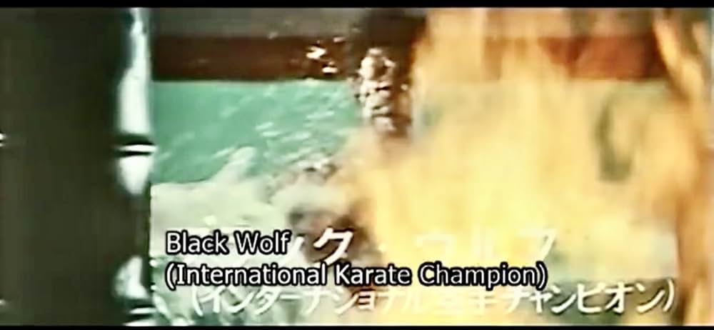 ザ・カラテ3 電光石火の画像