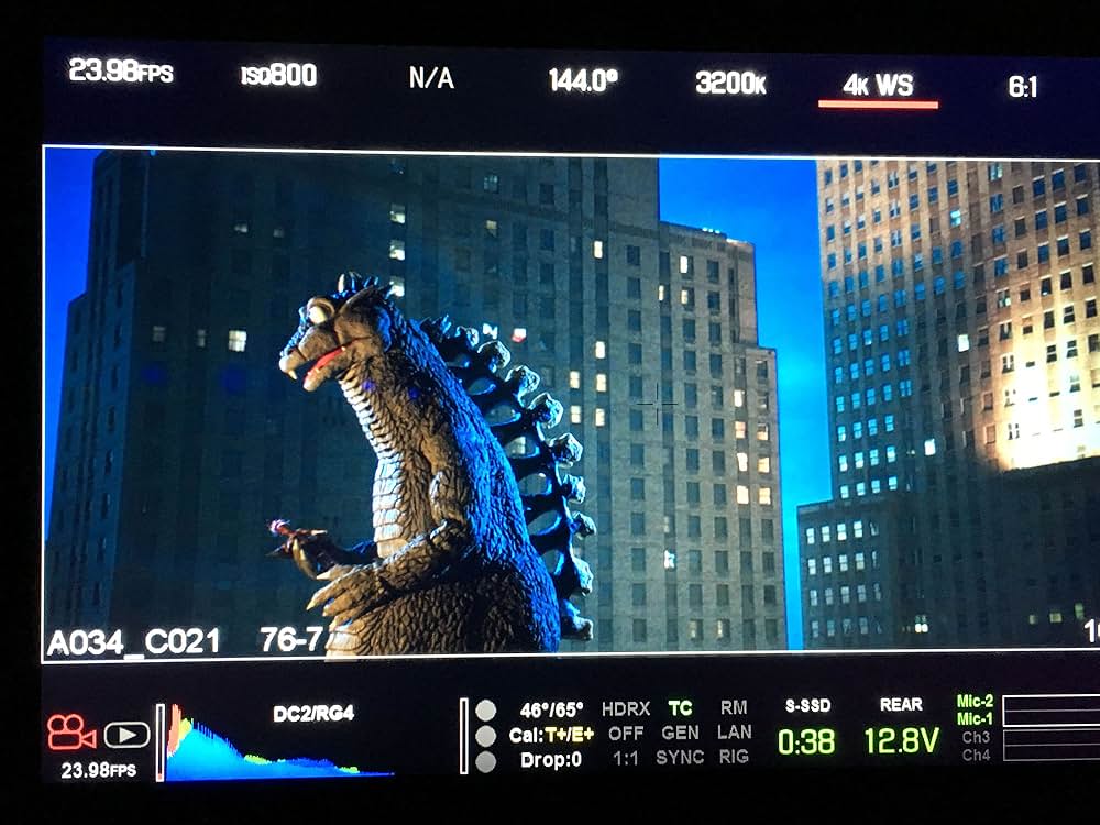 ノットジラの画像