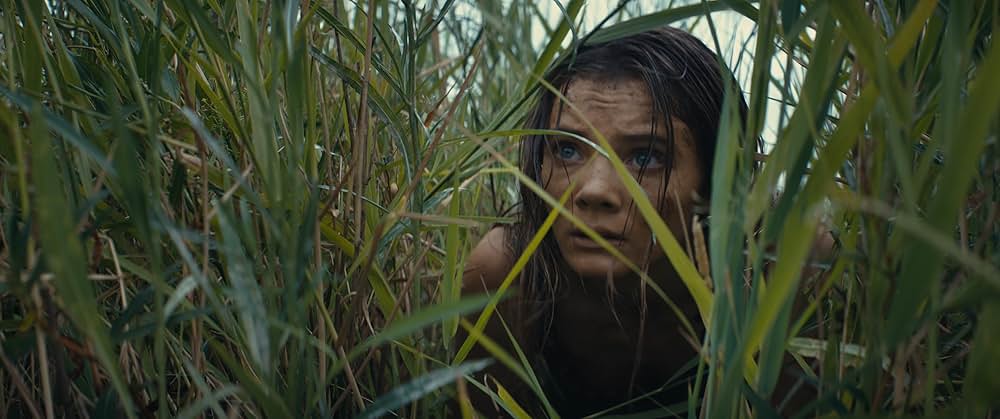 猿の惑星／キングダムの画像