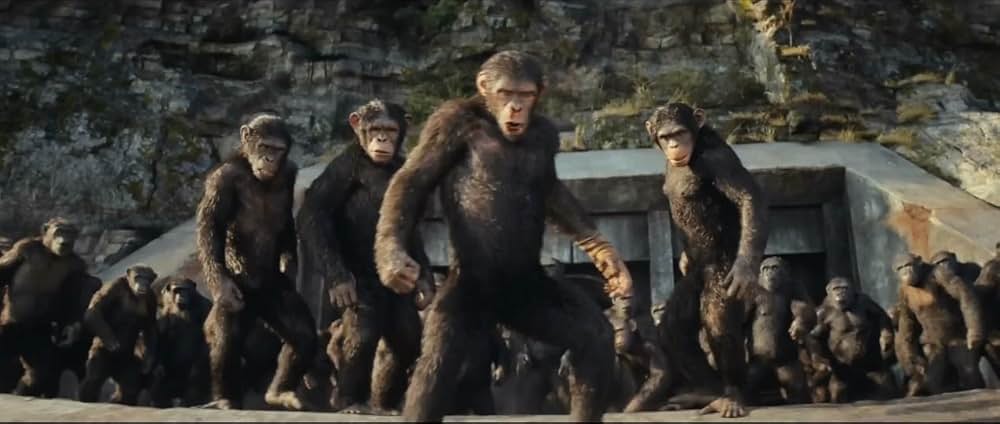 猿の惑星／キングダムの画像