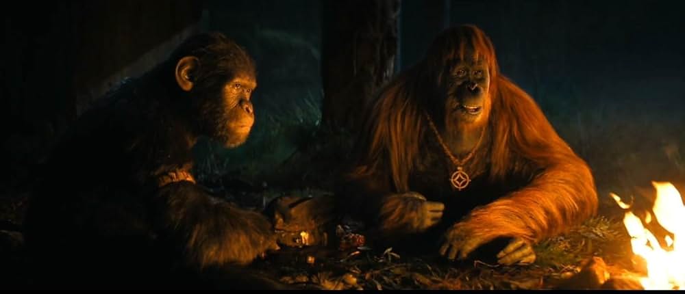 猿の惑星／キングダムの画像