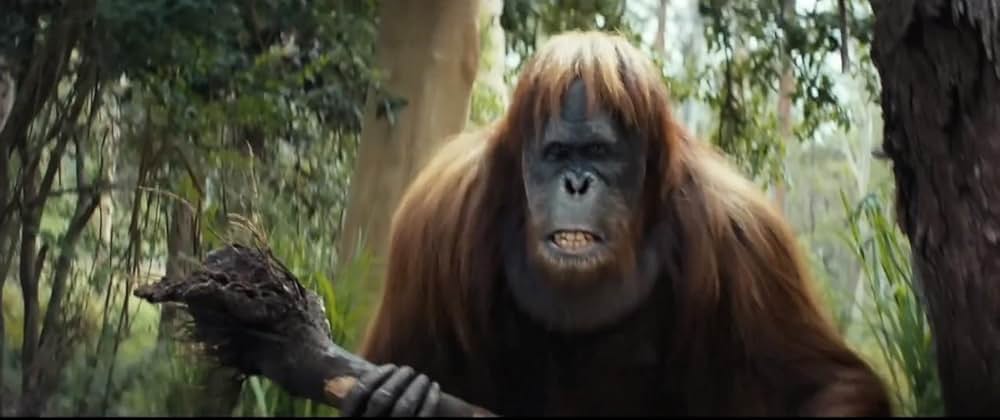 猿の惑星／キングダムの画像