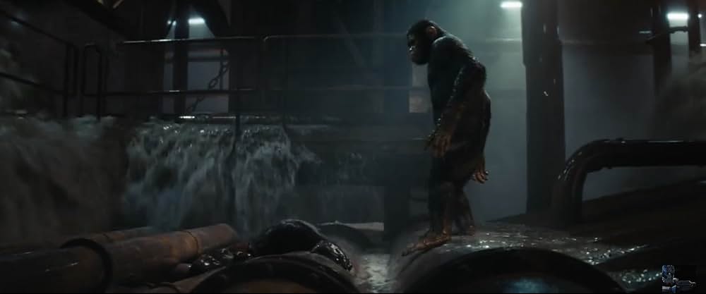 猿の惑星／キングダムの画像