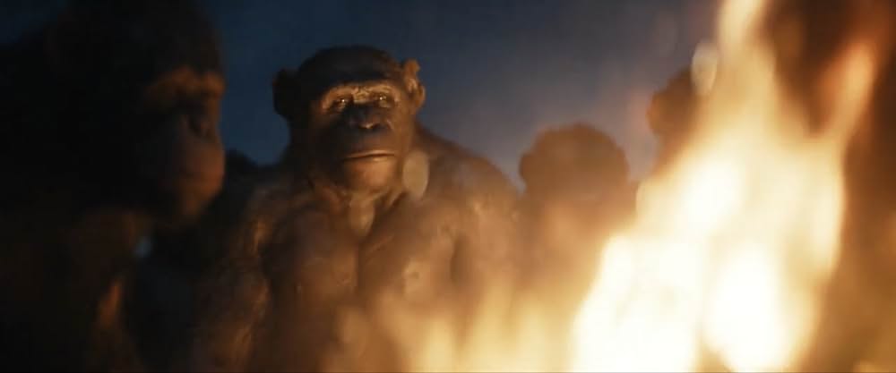 猿の惑星／キングダムの画像