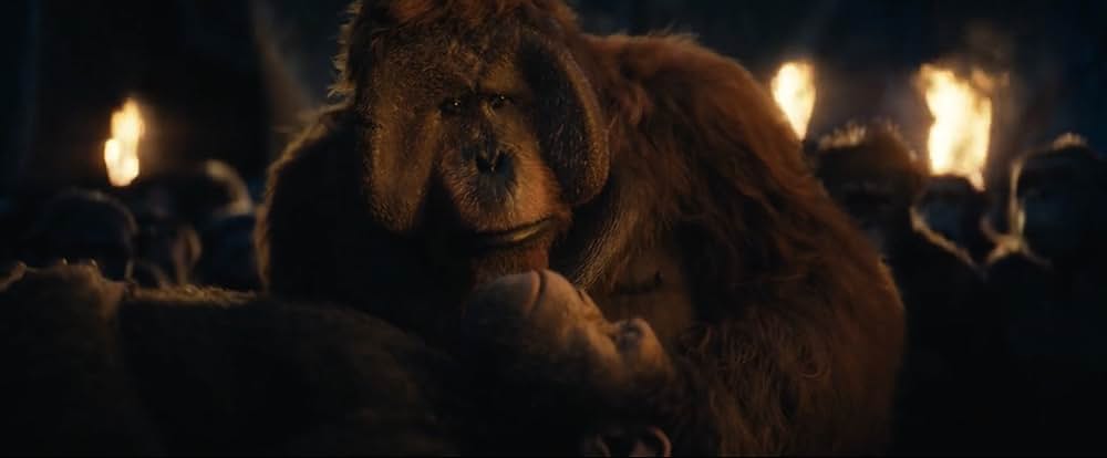 猿の惑星／キングダムの画像