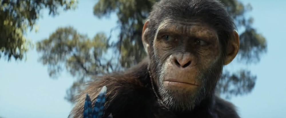 猿の惑星／キングダムの画像