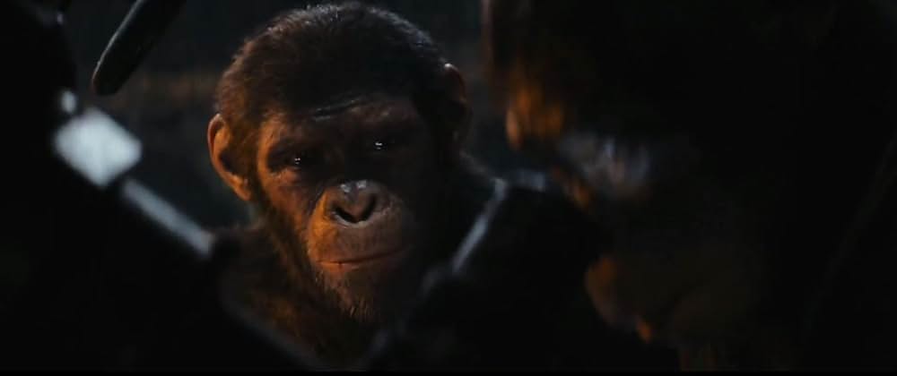 猿の惑星／キングダムの画像