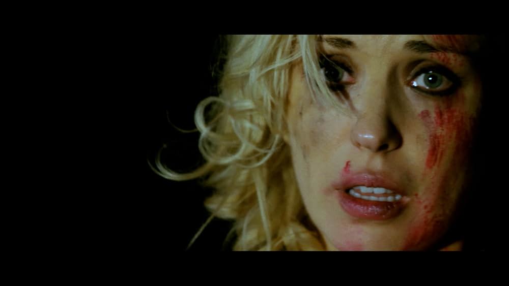 ダムド・フォレスト 禁忌の森の画像