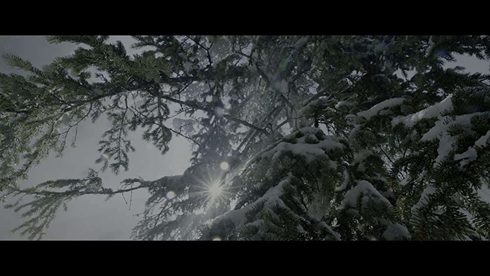 レヴェナント:蘇えりし者の画像