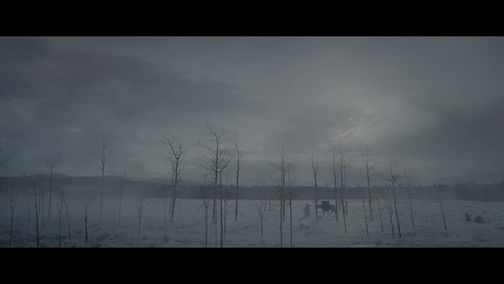 レヴェナント:蘇えりし者の画像