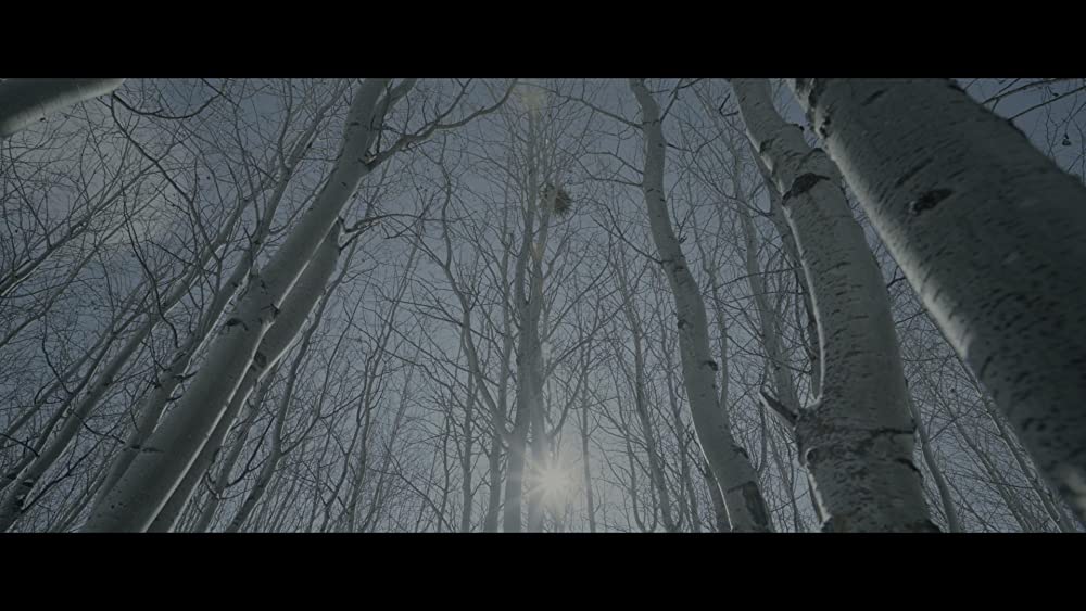 レヴェナント:蘇えりし者の画像