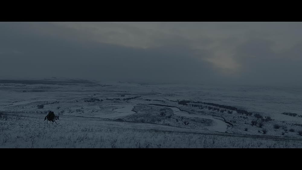 レヴェナント：蘇えりし者の画像