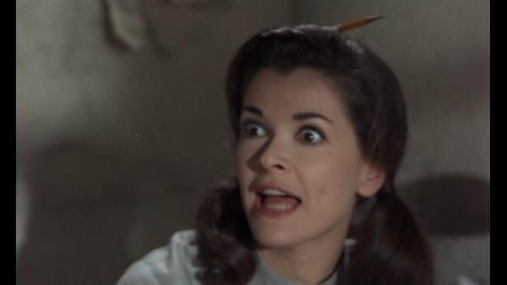 グループの画像