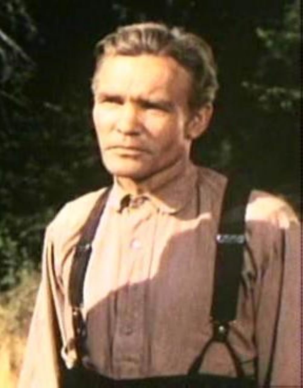 ザ・ビッグ・ツリーの画像