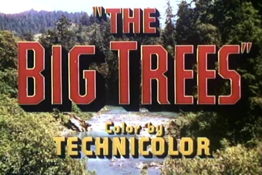 ザ・ビッグ・ツリーの画像