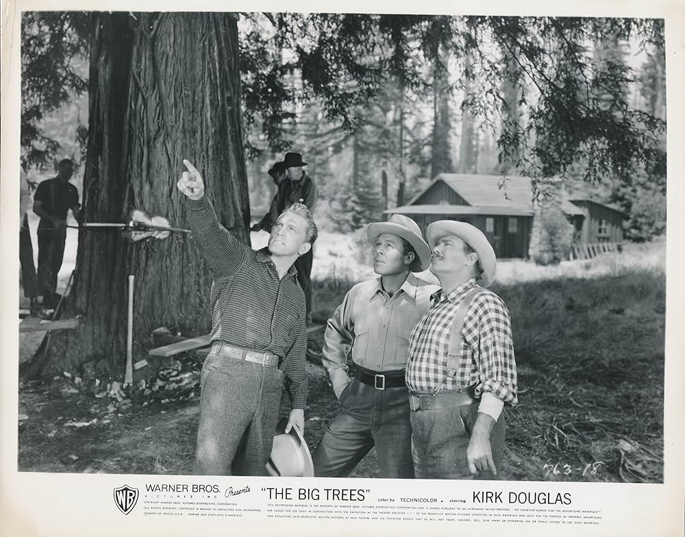 ザ・ビッグ・ツリーの画像