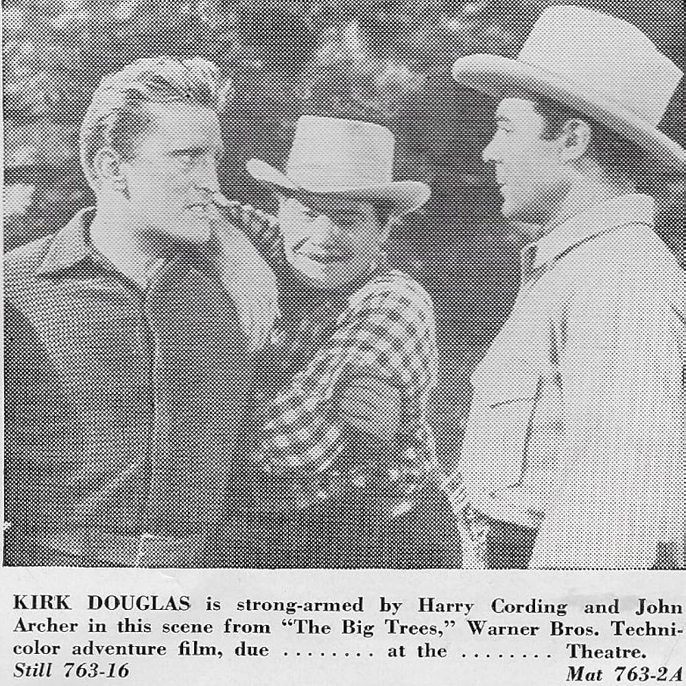 ザ・ビッグ・ツリーの画像