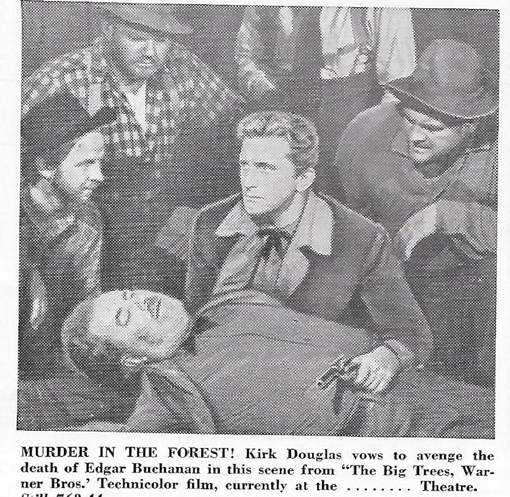 ザ・ビッグ・ツリーの画像