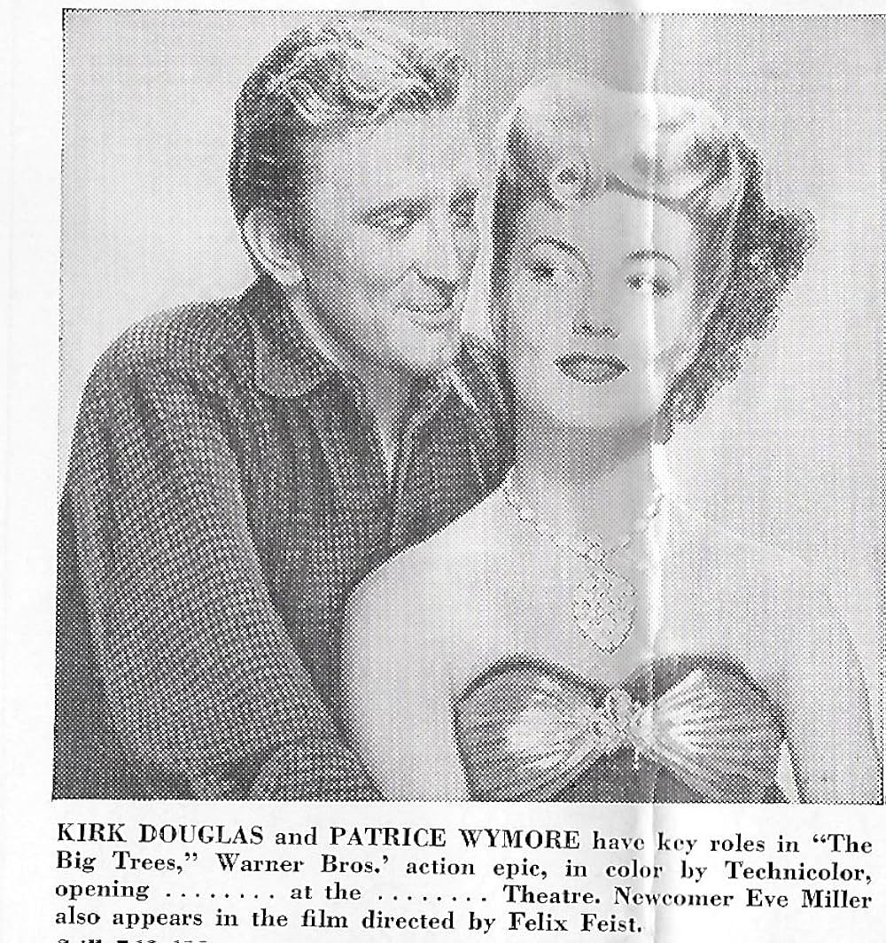 ザ・ビッグ・ツリーの画像