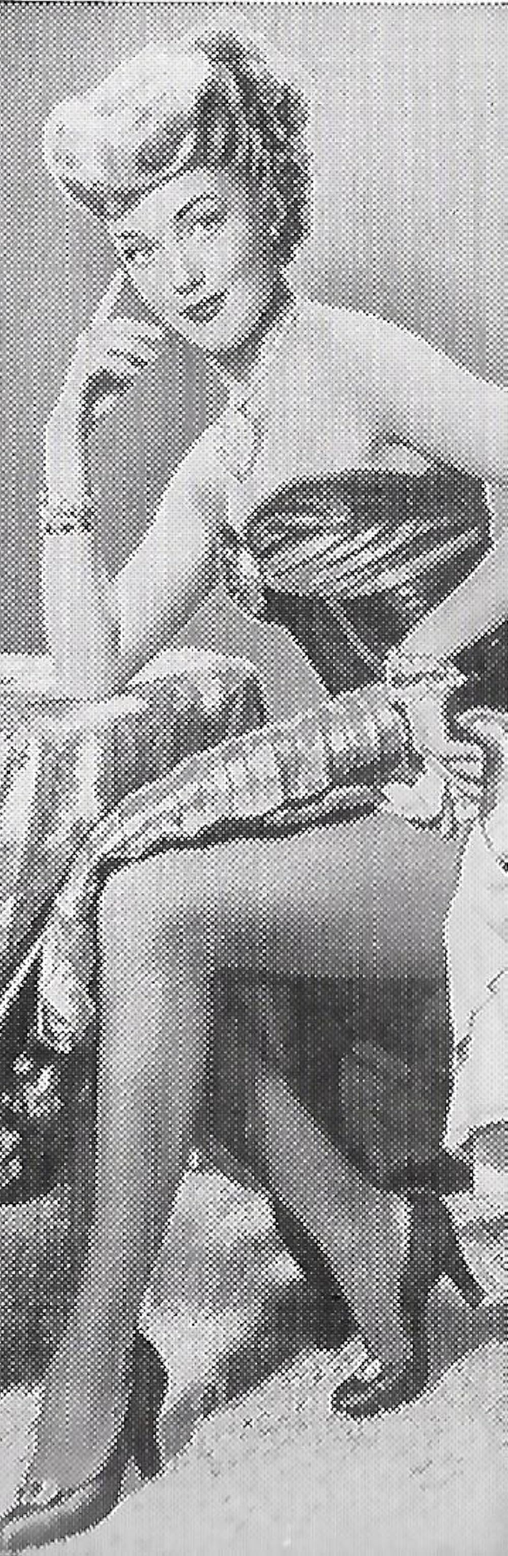 ザ・ビッグ・ツリーの画像