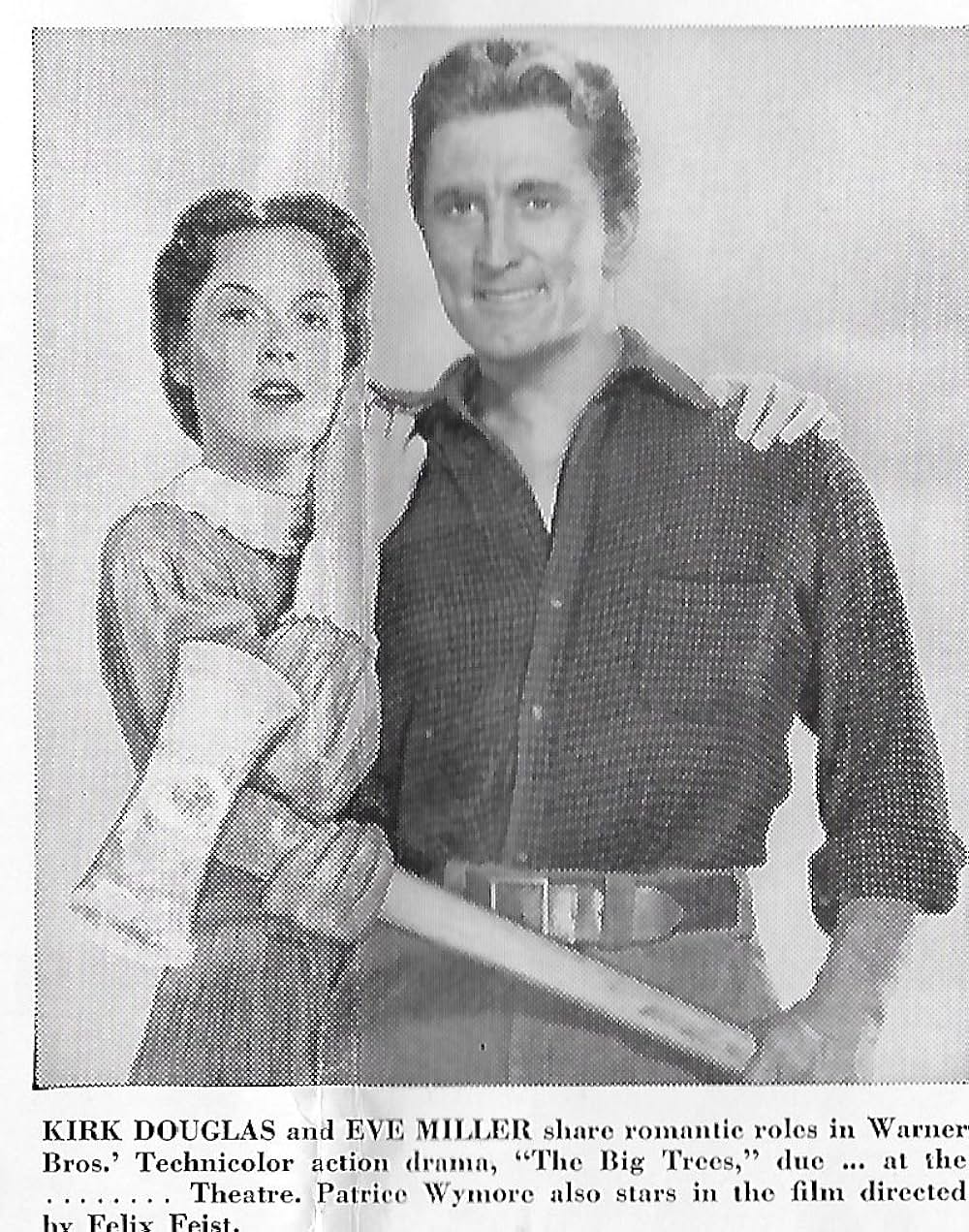 ザ・ビッグ・ツリーの画像