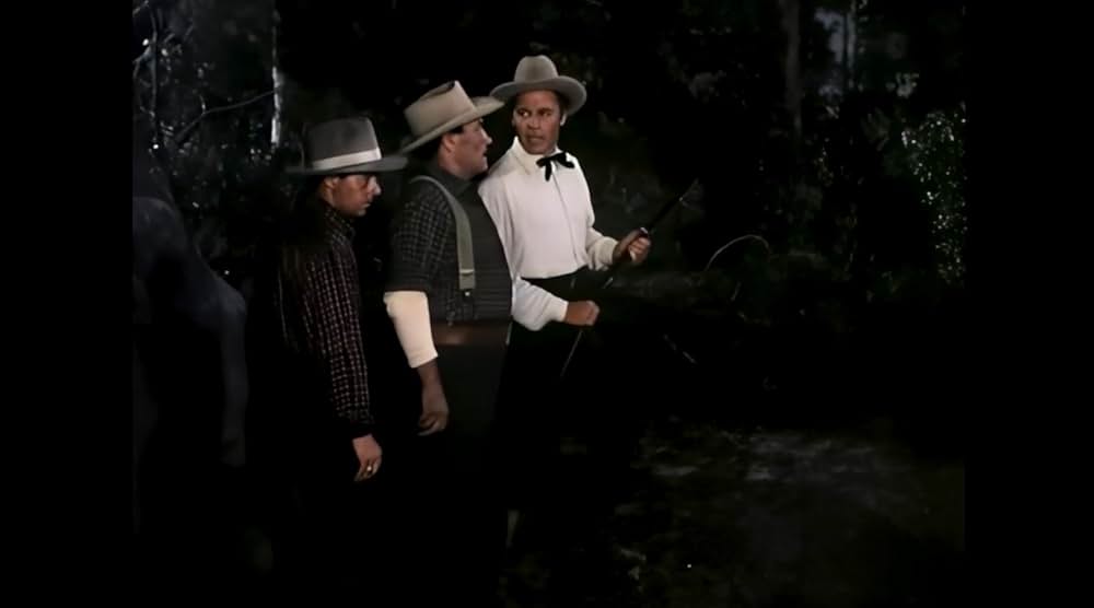 ザ・ビッグ・ツリーの画像