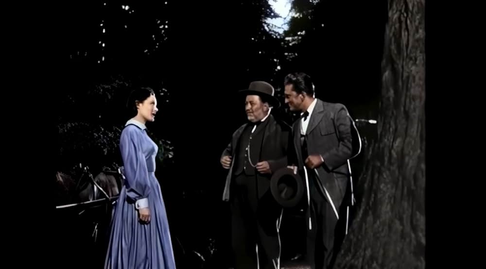 ザ・ビッグ・ツリーの画像