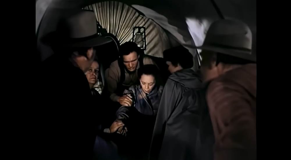 ザ・ビッグ・ツリーの画像