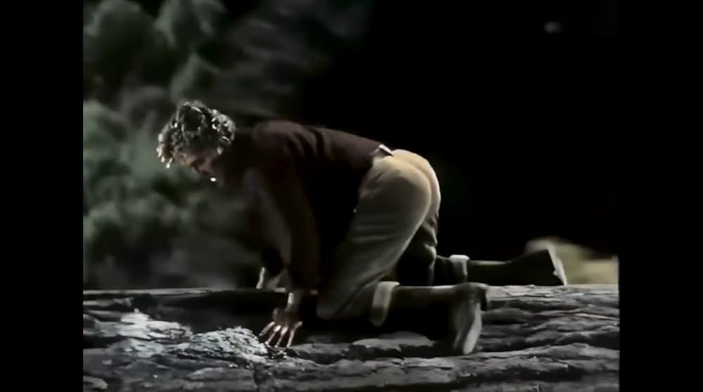 ザ・ビッグ・ツリーの画像