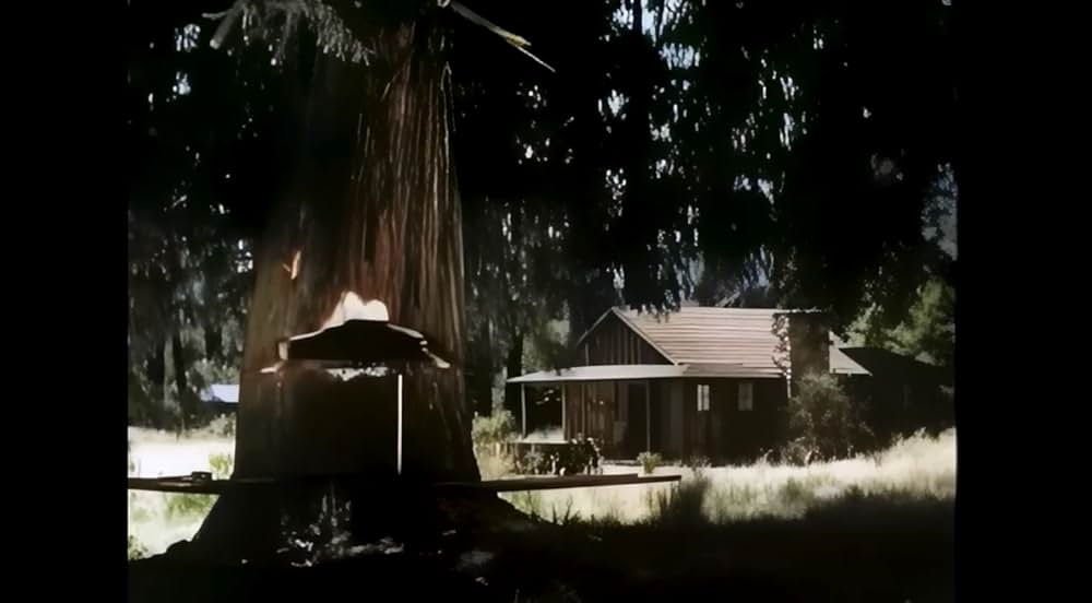 ザ・ビッグ・ツリーの画像