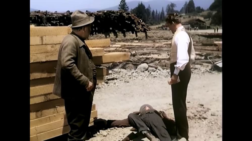 ザ・ビッグ・ツリーの画像