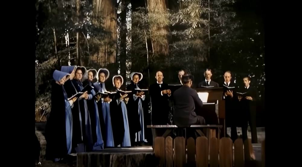 ザ・ビッグ・ツリーの画像