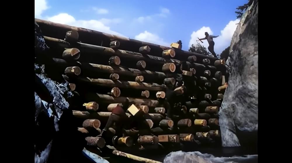 ザ・ビッグ・ツリーの画像