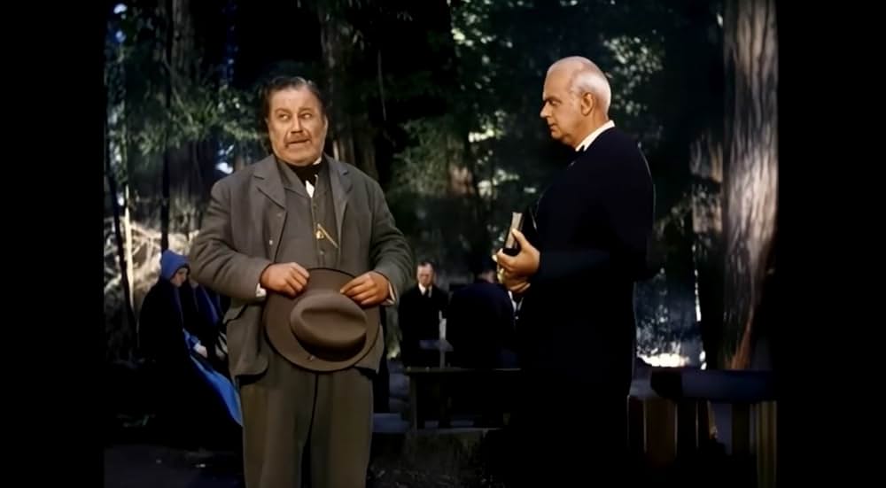 ザ・ビッグ・ツリーの画像